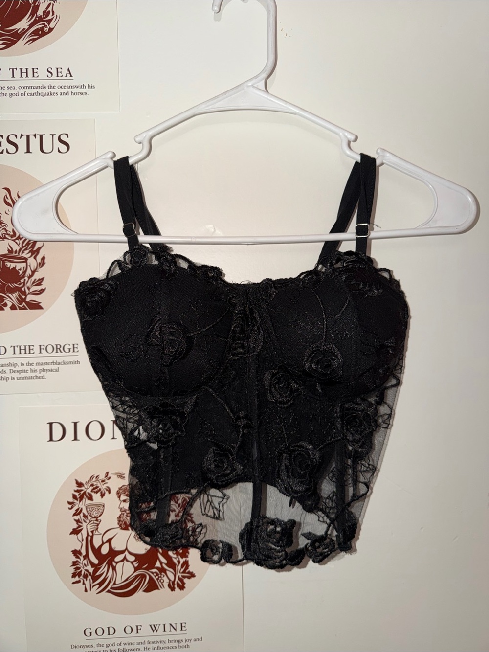 Shasa Black Floral Lace Bustier Crop Tank